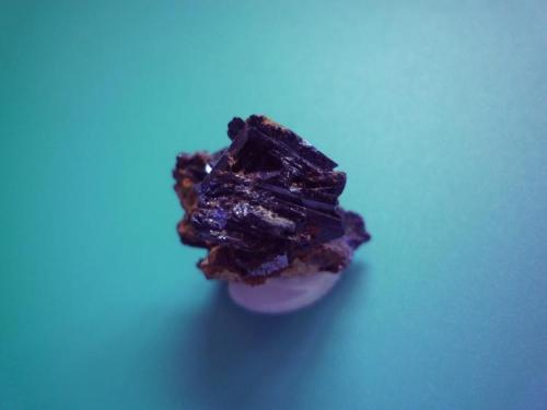 Azurita
Kerrouchene, Marruecos
3 cm x 2,5 cm
Longitud de los cristales mayores 1,4 cm (Autor: Rafael varela olveira)