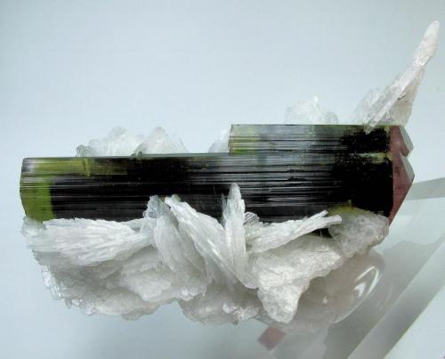 Elbaite, albite
Stak Nala, Haramosh Mts., Skardu District, Baltistan, Gilgit-Baltistan, Pakistan
79 mm x 48 mm (Author: Carles Millan)