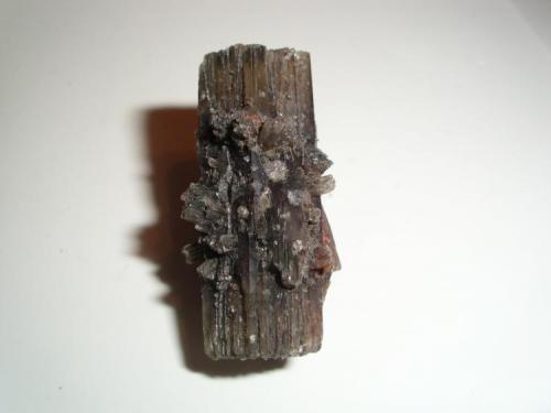 Aragonito negro
Luzón, Guadalajara, Castilla-La Mancha, España
3.8 x 2.1 x 1.9 cm
Este ejemplar le conseguí el domingo pasado, generalmente aparecen piezas muy pequeñas, esta es la más grande. (Autor: Daniel Olivares)