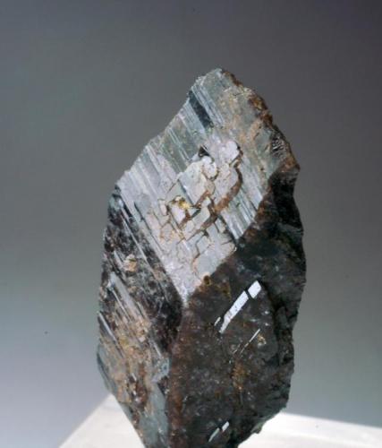 Axinita<br />Barranc de les Collades, Pantà d'Escales, Casterner de les Olles, Tremp, Comarca Pallars Jussà, Lérida / Lleida, Cataluña / Catalunya, España<br />30x15x0,70 mm<br /> (Autor: Joan Martinez Bruguera)