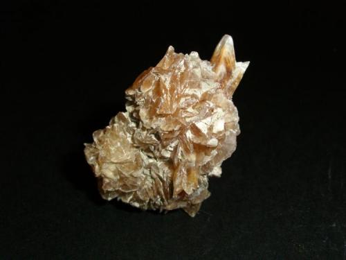 Yeso (rosa y punta de flecha)
Villalbilla, Madrid, España.
4.8 x 3.3 x 3 cm (Autor: Daniel Olivares)