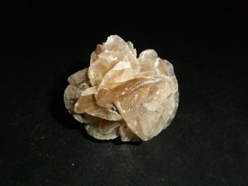 Yeso (rosa)
Villalbilla, Madrid, España.
3.9 x 3.7 x 3.3 cm (Autor: Daniel Olivares)