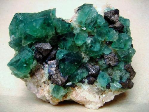 Fluorite with galena
Rogerley Mine, Weardale, North Pennines, Co. Durham, England
80 x 70 x 30 mm, largest crystal 20 mm (Author: Tobi)