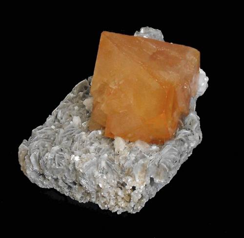 Scheelite on Muscovite
Mt Xuebaoding Pingwu County, Mianyang Prefecture, Sichuan Province, China.
8 x 5 x 4 cm; 150 gram (Author: Louis Friend)