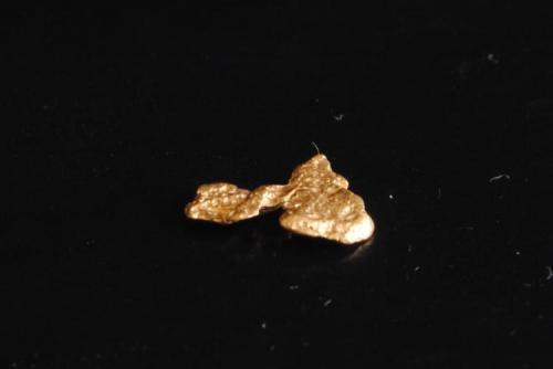 Oro
Australia
Medidas pieza: 0,9x0,7x0,1 cm (Autor: Sergio Pequeño)