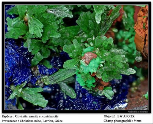 Olivenite, azurite and conichalcite
Christiana mine, Laurion, Greece
fov 9 mm (Author: ploum)