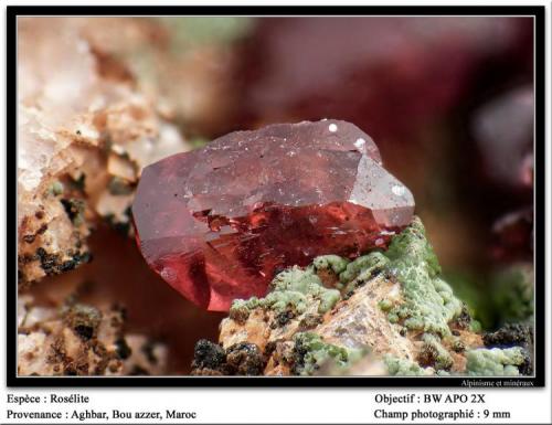 Roselite
Aghbar Mine, Bou Azzer, Maroc
fov 9 mm (Author: ploum)