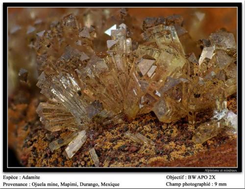 Adamite
Ojuela Mine, Mapimí, Mexico
fov 9 mm (Author: ploum)