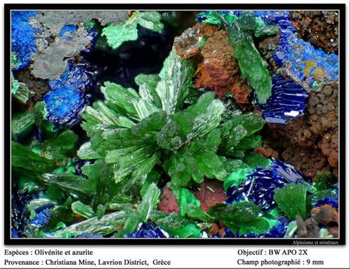 Olivenite and azurite
Christiana Mine, Laurion, Greece
fov 9 mm (Author: ploum)