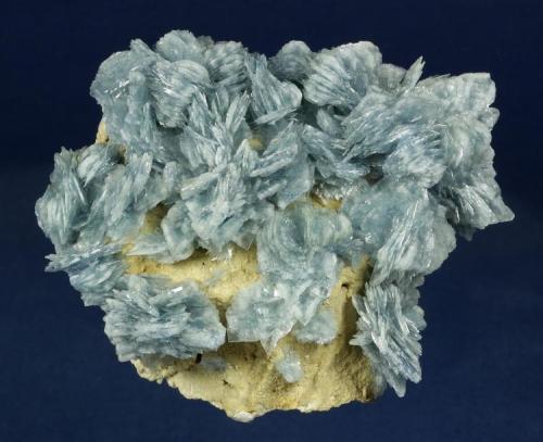Barite
Baia Sprie (Felsobanya) Mine, Ilba-Baiut Metallogenic District, Baia Sprie, Maramures County (Judet), Romania
100.0 x 92.0 x 51.0 mm
highly lustrous clusters of blue Barite crystals to 13 mm across nearly cover a contrasting tan matrix. Reportedly, not many of these blue Barites were recovered from this classic European locality. (Author: GneissWare)