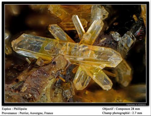 Phillipsite
Perrier, Issoire, Auvergne, France
fov 2.7 mm (Author: ploum)