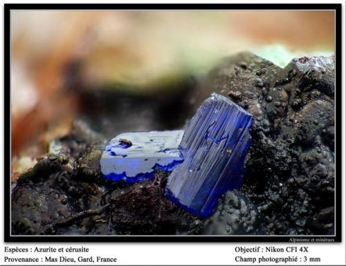 Azurite and cerussite
Mas Dieu, Mercoirol, Gard, France
fov 3 mm (Author: ploum)