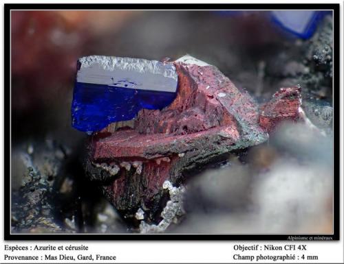 Azurite and cerussite
Mas Dieu, Mercoirol, Gard, France
fov 4 mm (Author: ploum)