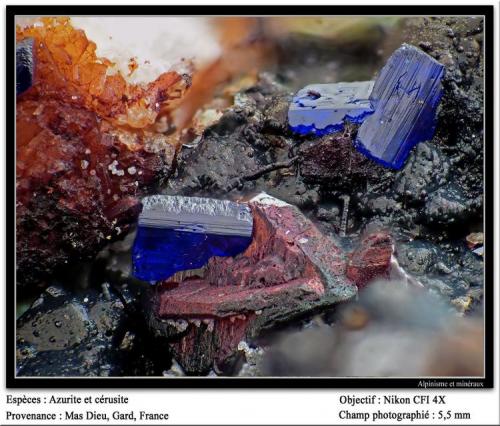 Azurite and cerussite
Mas Dieu, Mercoirol, Gard, France
fov 6 mm (Author: ploum)