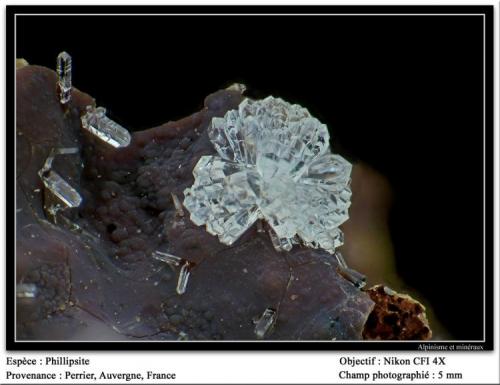 Phillipsite
Perrier, Issoire, Auvergne, France
fov 5 mm (Author: ploum)