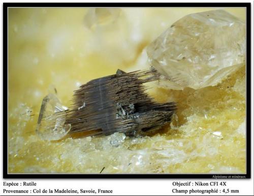 Rutile
Col de la Madeleine, Savoie, France
fov 5.5 mm (Author: ploum)