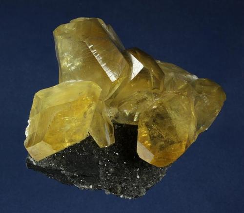 Calcite
Daye County, Huangshi Prefecture, Hubei Province, China
91.0 x 83.0 x 43.0 mm

Blocky, lustrous amber-yellow crystals of Calcite to 33 x 26 mm are perched on dark black limestone matrix. (Author: GneissWare)