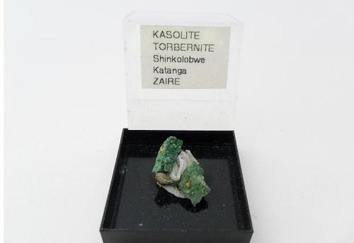 Kasolita sobre Torbernita
Shinkolobwe - Katanga - Congo (Zaire)
+10 mm (matriz) +0.8 mm microcristales (Autor: RodrigoSiev)