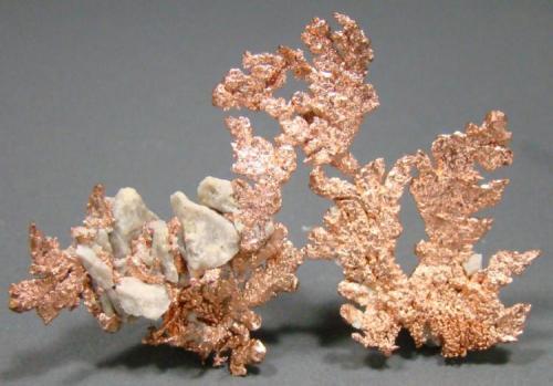 Cobre
Morenci, Greenlee, Arizona, USA
7,4 cm (Autor: nimfiara)