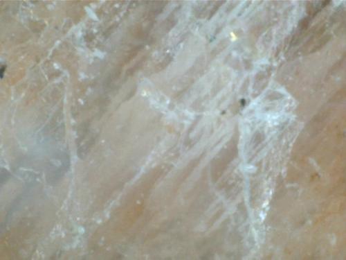 Textura pertítica en cristal de feldespato potásico
Perth, Ontario, Canadá
400X (Autor: prcantos)