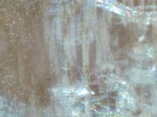 Textura pertítica en cristal de feldespato potásico
Perth, Ontario, Canadá
400X (Autor: prcantos)