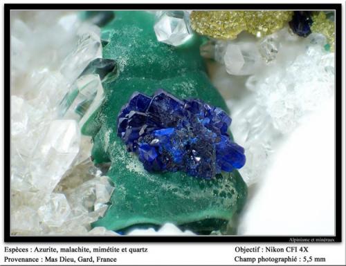 Azurite on malachite with quartz and mimetite
Mas Dieu, Gard, France
fov 8 mm (Author: ploum)