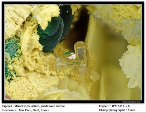 Mimetite, malachite and quartz
Mas Dieu, Gard, France
fov 6 mm (Author: ploum)