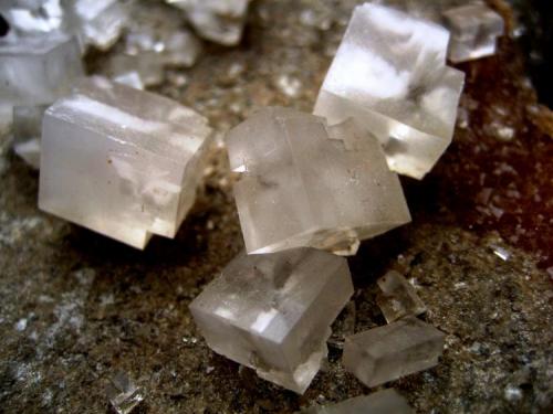 Halite
Neuhof-Ellers Potash Works, Neuhof, Fulda, Hesse, Germany
Largest crystals ~ 15 mm (Author: Tobi)