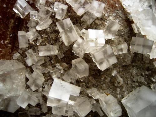 Halite
Neuhof-Ellers Potash Works, Neuhof, Fulda, Hesse, Germany
Largest crystals ~ 15 mm (Author: Tobi)