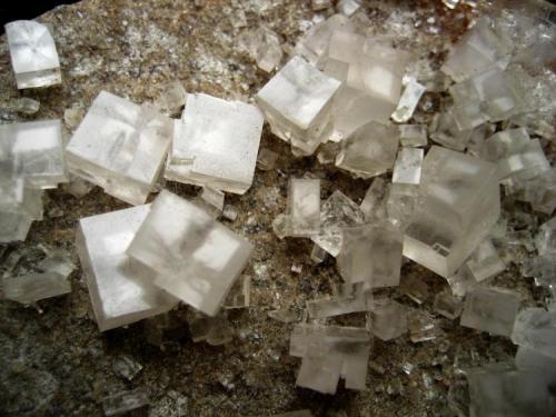 Halite
Neuhof-Ellers Potash Works, Neuhof, Fulda, Hesse, Germany
Largest crystals ~ 15 mm (Author: Tobi)