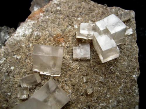 Halite
Neuhof-Ellers Potash Works, Neuhof, Fulda, Hesse, Germany
Largest crystals ~ 15 mm (Author: Tobi)