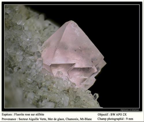 Fluorite on stilbite
Aiguille Verte, Chamonix, Massif du Mont-Blanc, France
fov 9 mm (Author: ploum)