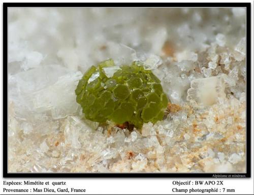 Mimetite and quartz
Mas Dieu, Gard, France
fov 7 mm (Author: ploum)
