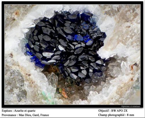 Azurite and quartz
Mas Dieu, Gard, France
fov 8 mm (Author: ploum)