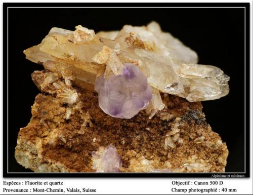 Fluorite and quartz
Mont-Chemin, Valais, Switzerland
fov 40 mm (Author: ploum)