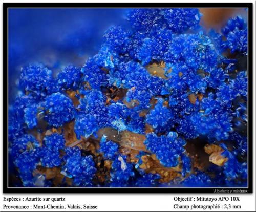 Azurite on quartz
Mont-Chemin, Valais, Switzerland
fov 2.3 mm (Author: ploum)