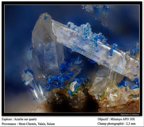 Azurite and quartz
Mont-Chemin, Valais, Switzerland
fov 2.3 mm (Author: ploum)