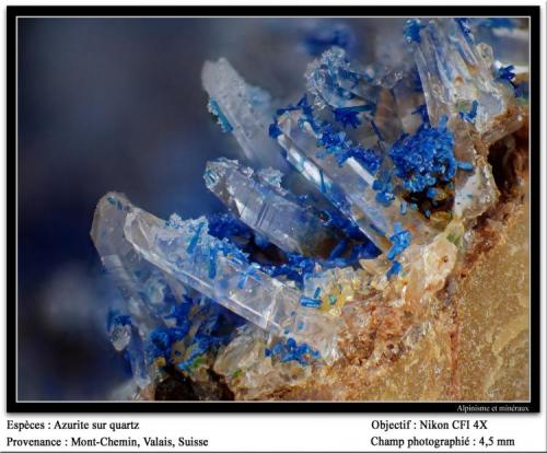 Azurite on quartz
Mont-Chemin, Valais, Switzerland
fov 4 mm (Author: ploum)