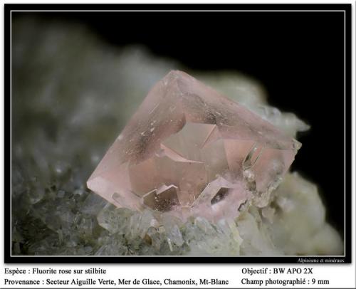 Fluorite on stilbite
Aiguille verte, Chamonix, Massif du Mt-Blanc, France
fov 8 mm (Author: ploum)