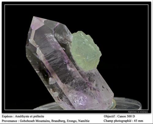 Amethyst and prehnite
Goboboseb, Erongo, Namibia
fov  45 mm (Author: ploum)