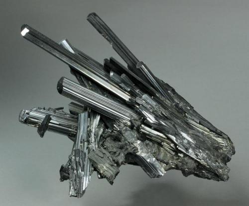 Stibnite
Hunan Province, China
205.0 x 125.0 x 121.0 mm
Multiple thick lustrous black crystals of Stibnite to 125 x 17 x 9 mm with a slight bluish cast make up this exceptional 3-dimensional
specimen. Small secondary needles of Stibnite are perched on some of the larger Stibnite crystals. In excellent condition.

Based on the age of the specimen, I suspect this is actually from Wuling Mine, Qingjiang, Wuning Co., Jiujiang Prefecture, Jiangxi Province, China and was labeled Hunan because it was sold in Changsha. (Author: GneissWare)