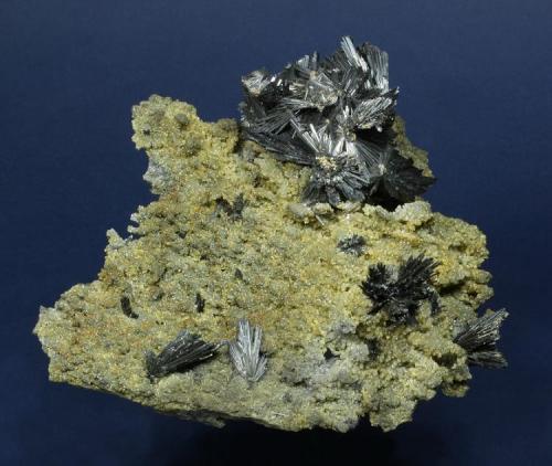 Stibnite on Quartz with Siderite
Herja Mine (Kisbánya), Ilba-Baiut Metallogenic District, Baia Mare (Nagybánya), Maramures County (Judet), Romania
160.0 x 159.0 x 74.0 mm
Multiple sprays of Stibnite crystals to 45 mm are perched on a thin matrix of small Quartz and Siderite crystals. Siderite partly coats some of the Stibnite. (Author: GneissWare)