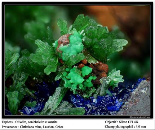 Olivenite with conichalcite and azurite
Christiana mine, Laurion, Greece
fov 4 mm (Author: ploum)