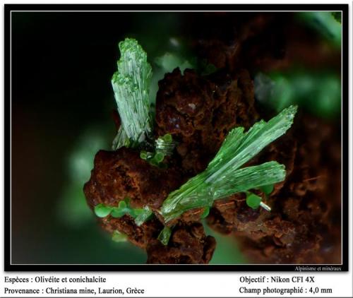 Olivenite with conichalcite
Christiana mine, Laurion, Greece
fov 4 mm (Author: ploum)