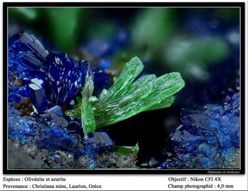 Olivenite with azurite
Christiana mine, Laurion, Greece
fov 4 mm (Author: ploum)