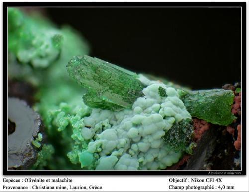 Olivenite with malachite
Christiana mine, Laurion, Greece
fov 4 mm (Author: ploum)