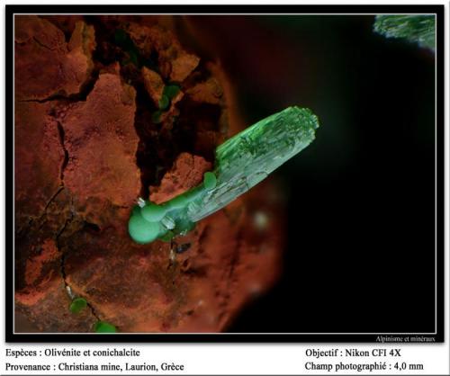 Olivenite with conichalcite
Christiana mine, Laurion, Greece
fov 4mm (Author: ploum)