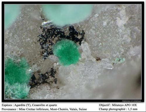 Agardite-(Y) with cesàrolite and quartz
Crettaz Mine, Mont Chemin, Martigny, Valais, Switzerland
fov 1.5 mm (Author: ploum)