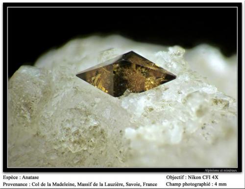 Anatase
Col de la Madeleine, Massif de La Lauzière, Savoie, Rhône-Alpes, France
fov 4.5 mm (Author: ploum)
