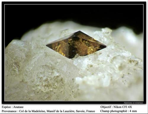 Anatase
Col de la Madeleine, Massif de La Lauzière, Savoie, Rhône-Alpes, France
fov 4.5 mm (Author: ploum)